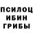 Галлюциногенные грибы Cubensis sasha pushnikov