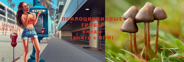 эйфоретик Алексин