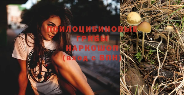 гашик Абдулино
