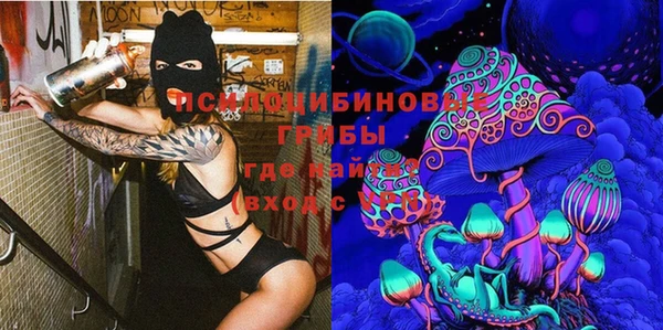 spice Абинск